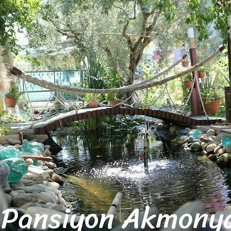 Akmonya Pansiyon Eriklice 외부 사진