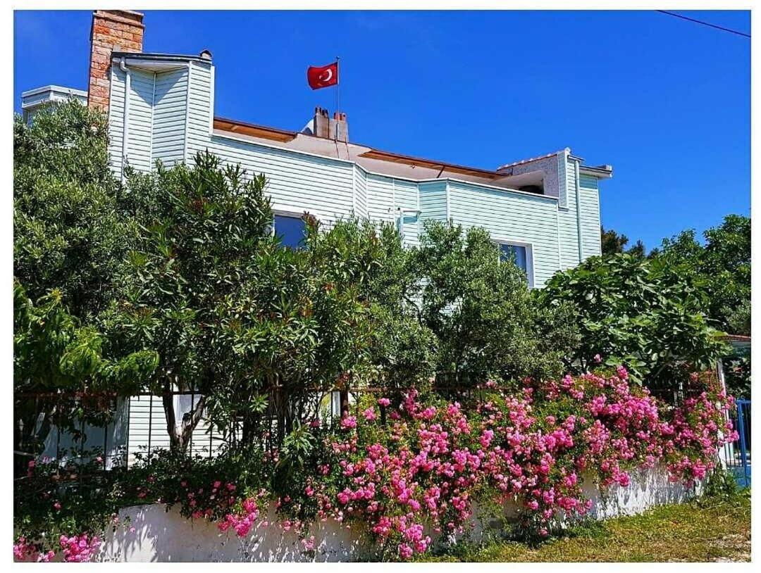 Akmonya Pansiyon Eriklice 외부 사진